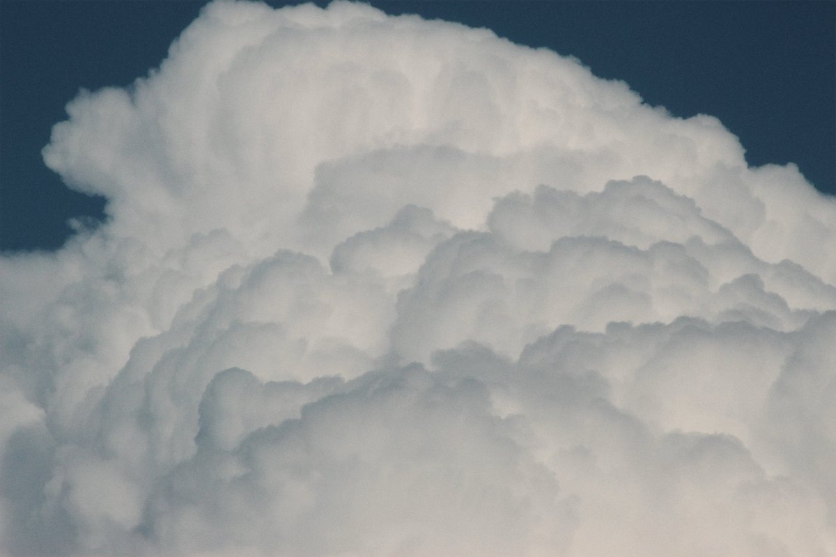 العـنود tweet media