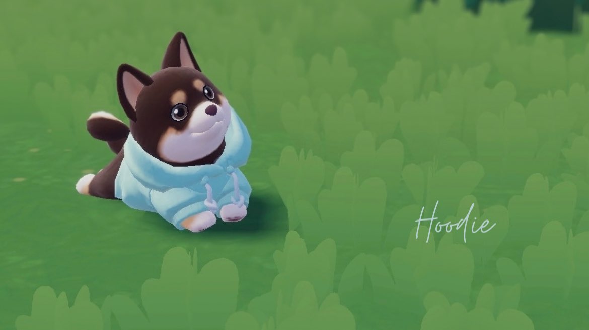 𝚂𝚞𝚒 tweet media