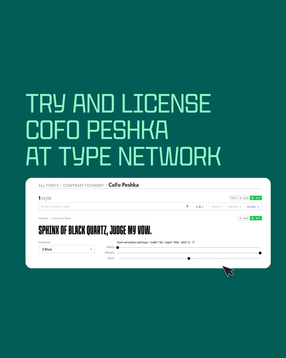 Type Network tweet media