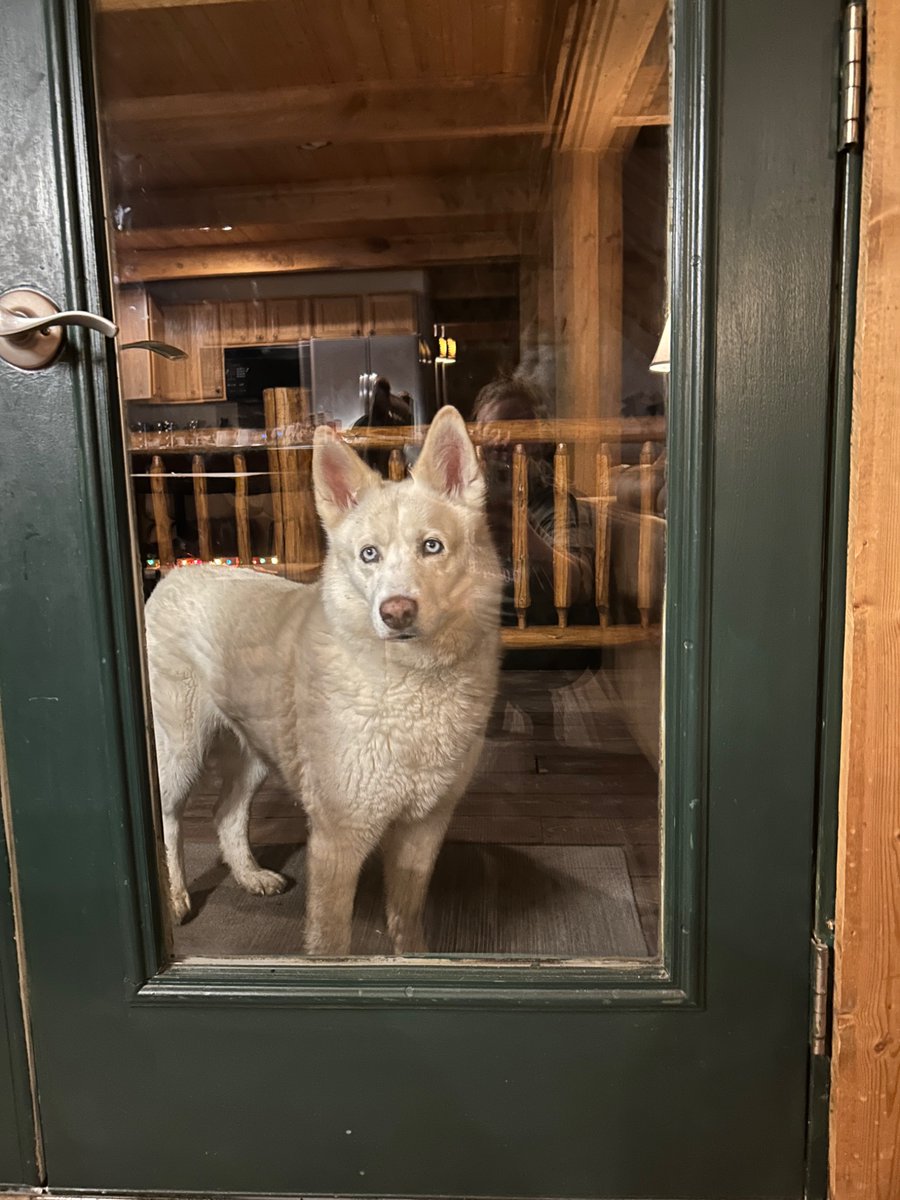 Furkan Yuce tweet media