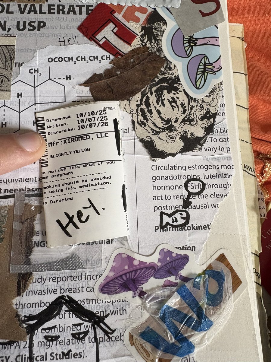 Kayla Nuts tweet media