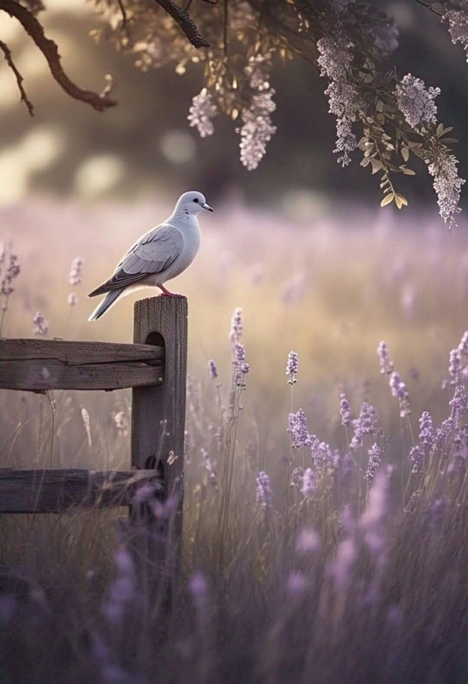 Sevil.Grm tweet media