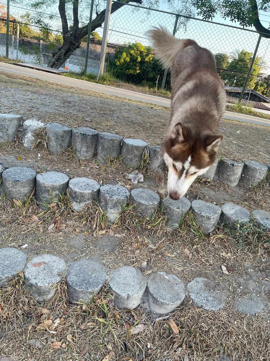 Lyss 🇸🇻 tweet media