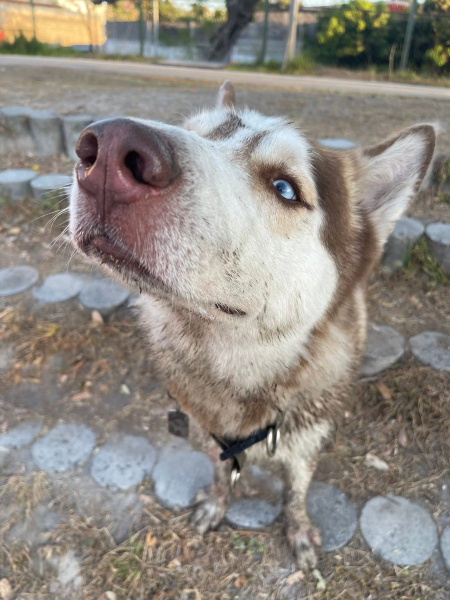 Lyss 🇸🇻 tweet media