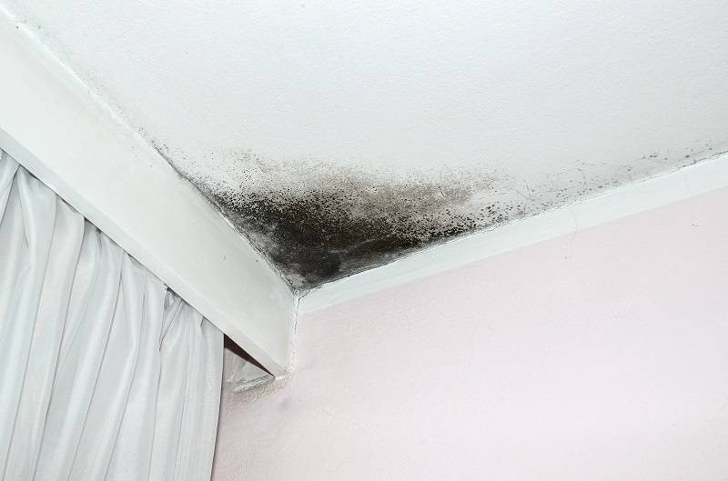 LeadPhilly's tweet photo. Whether you're buying, renting, or maintaining property, our mold inspections help you make confident, informed decisions and protect everyone inside from harmful exposure. Call us today. #MoldInspections
https://t.co/Hm7cyswlRQ https://t.co/hr83DIEMzb