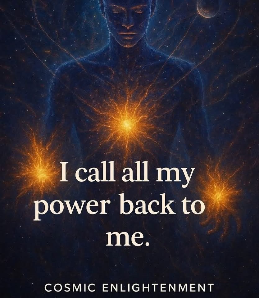 🧬Maxpein🧬 tweet media