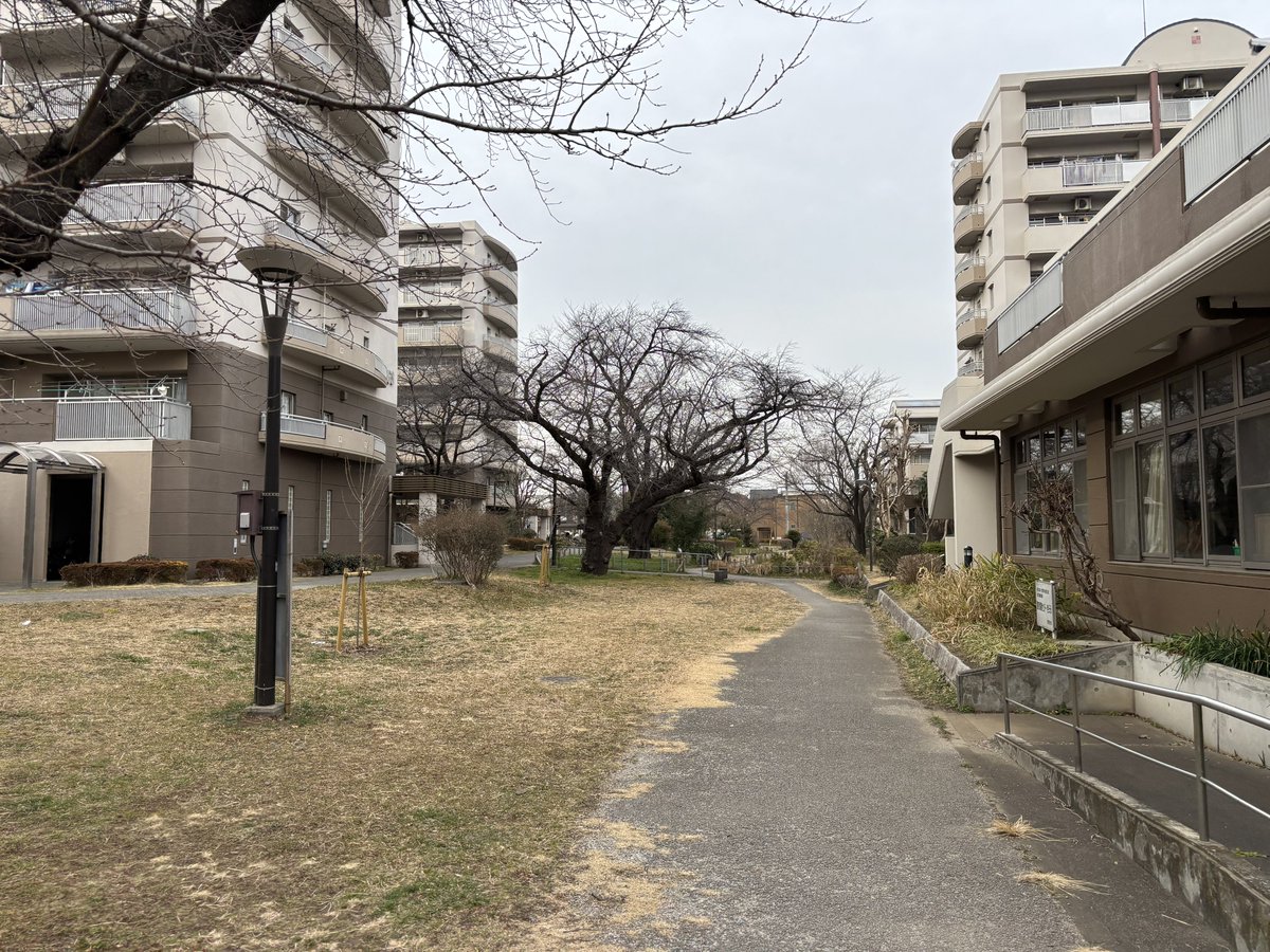 公団ウォーカー 照井啓太 tweet media