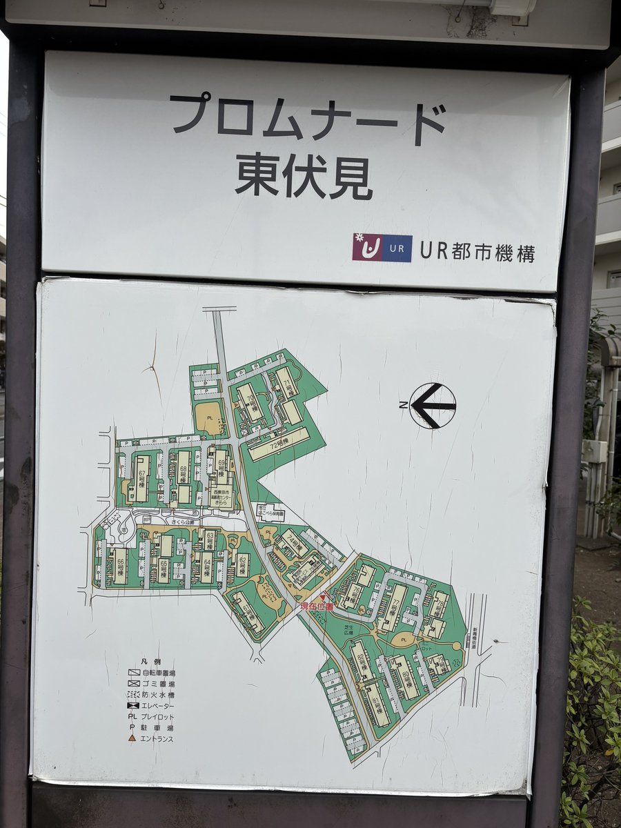 公団ウォーカー 照井啓太 tweet media