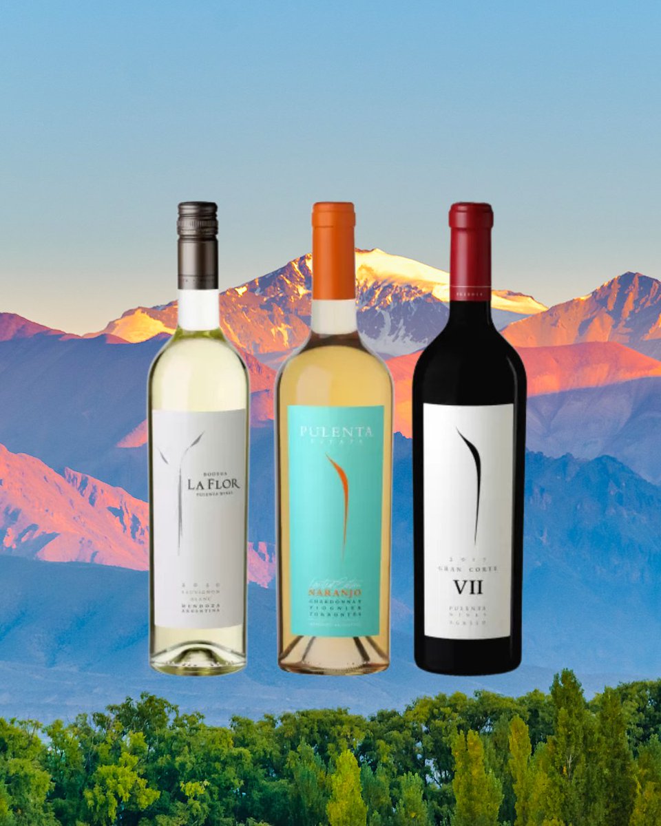 winedirect_uk tweet media