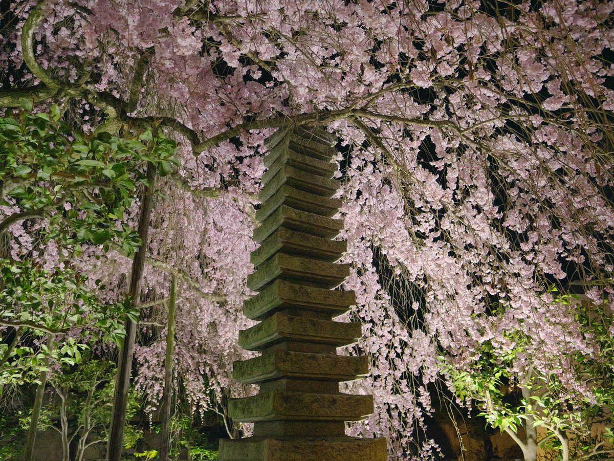 りと＠きたうじOB金管野菜室〜🥁 tweet media