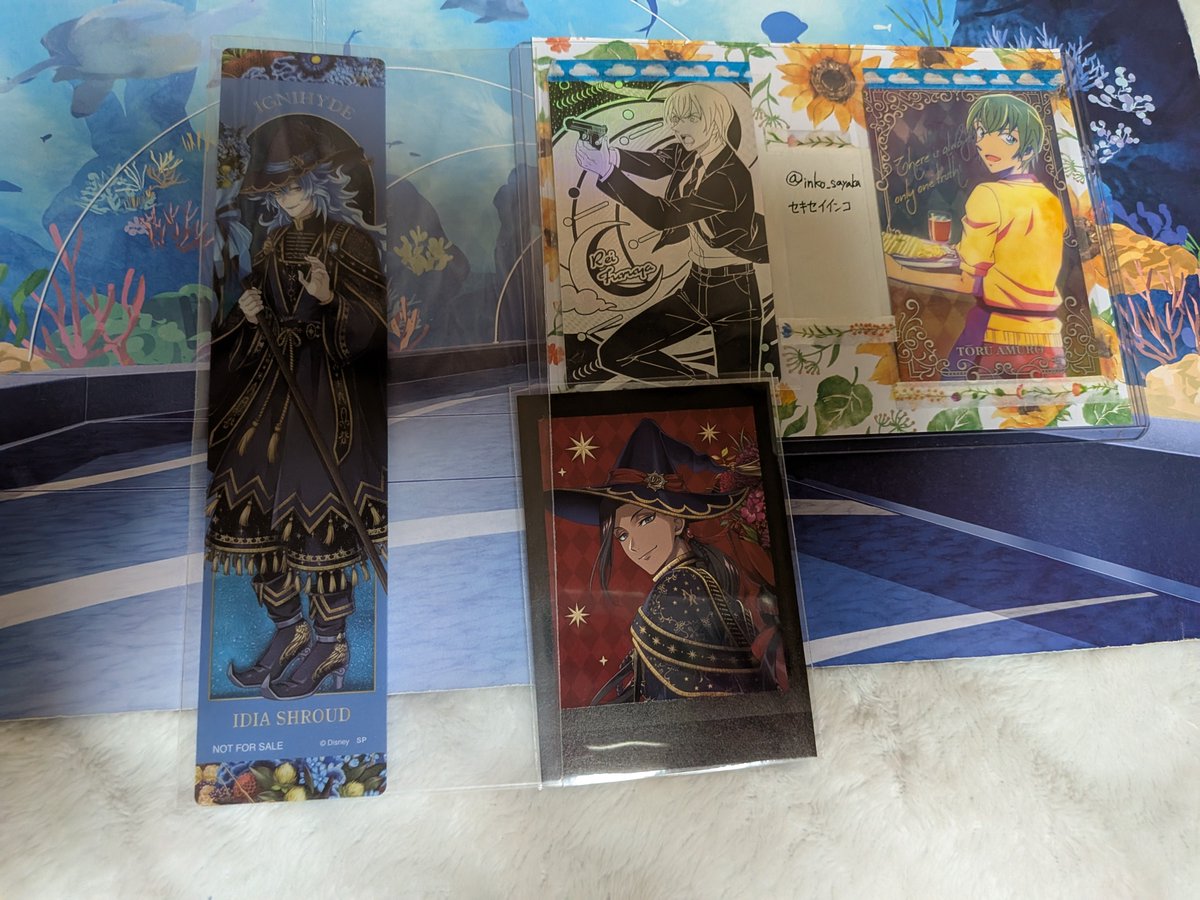 セキセイインコ tweet media