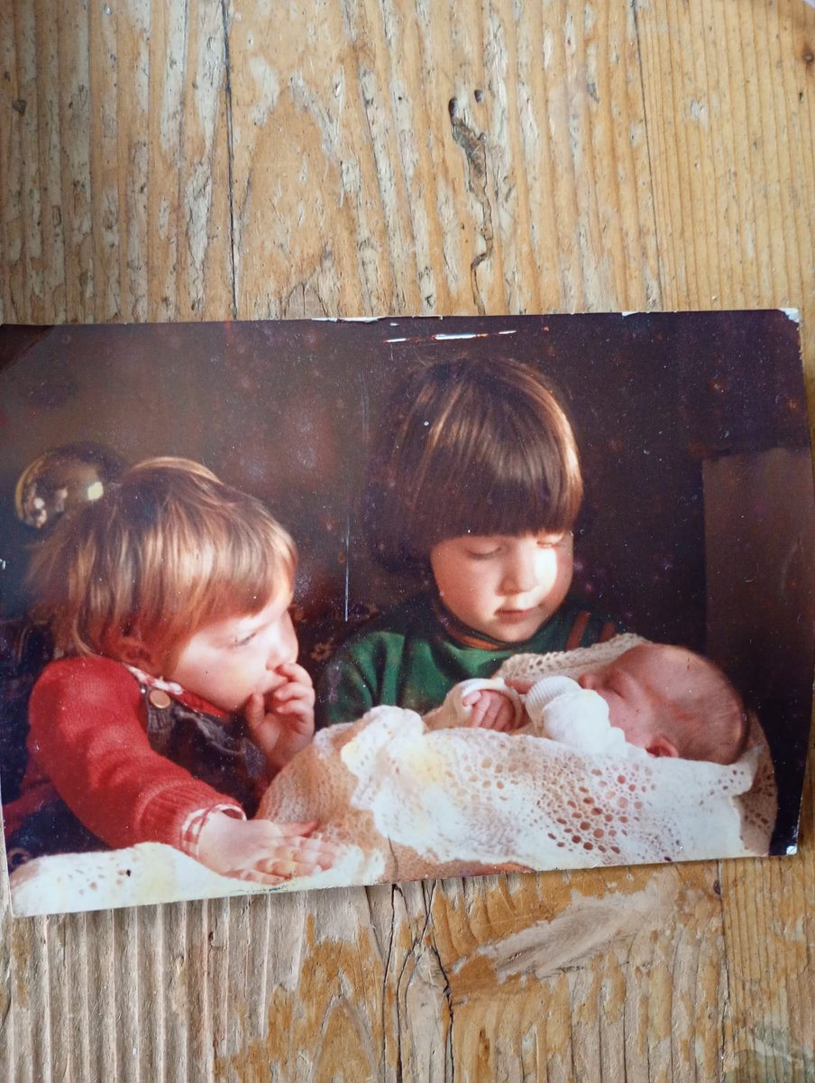 HoutsmaAnne tweet media