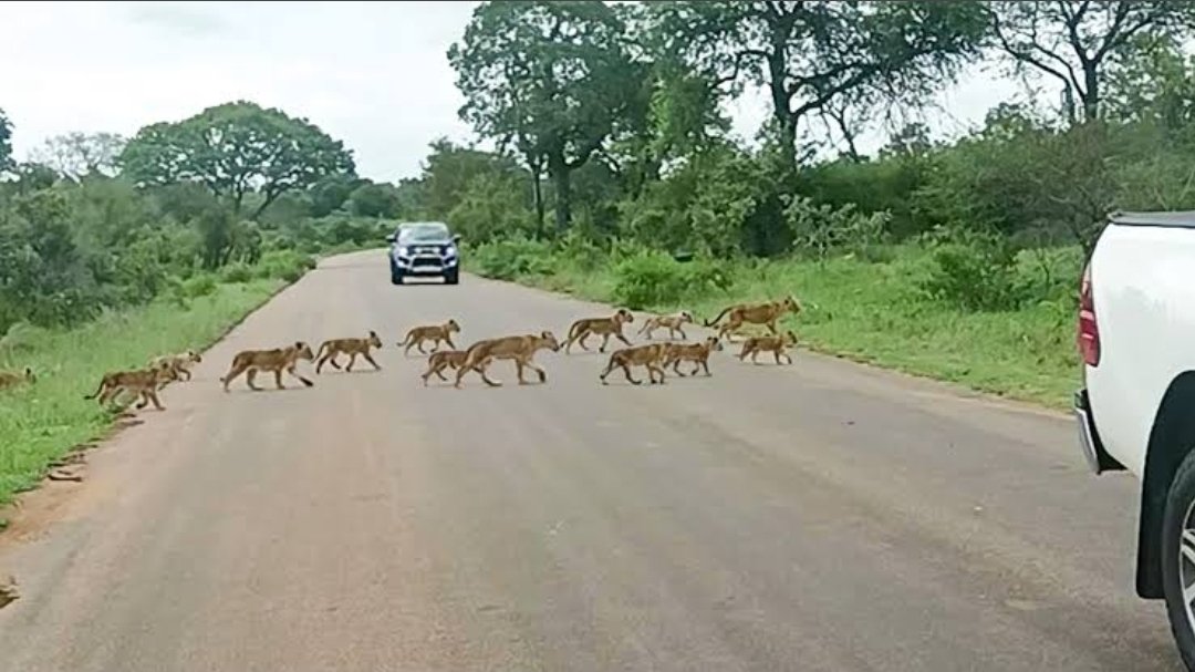 David Ogutha tweet media