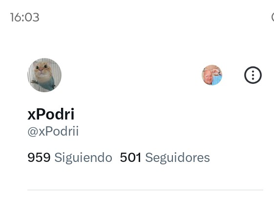 xPodri tweet media