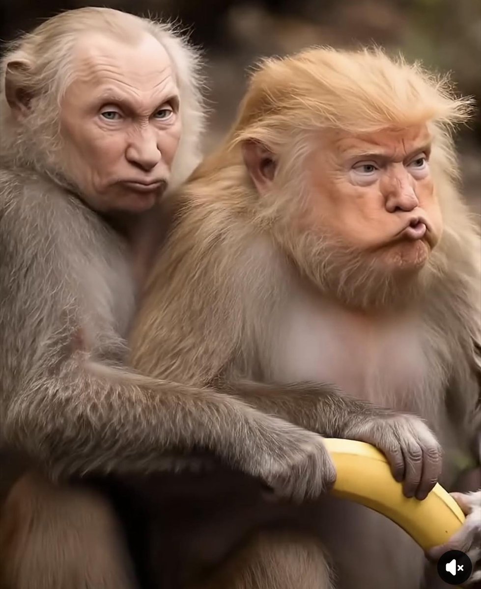 Сергій Миколайович 🇺🇦 tweet media