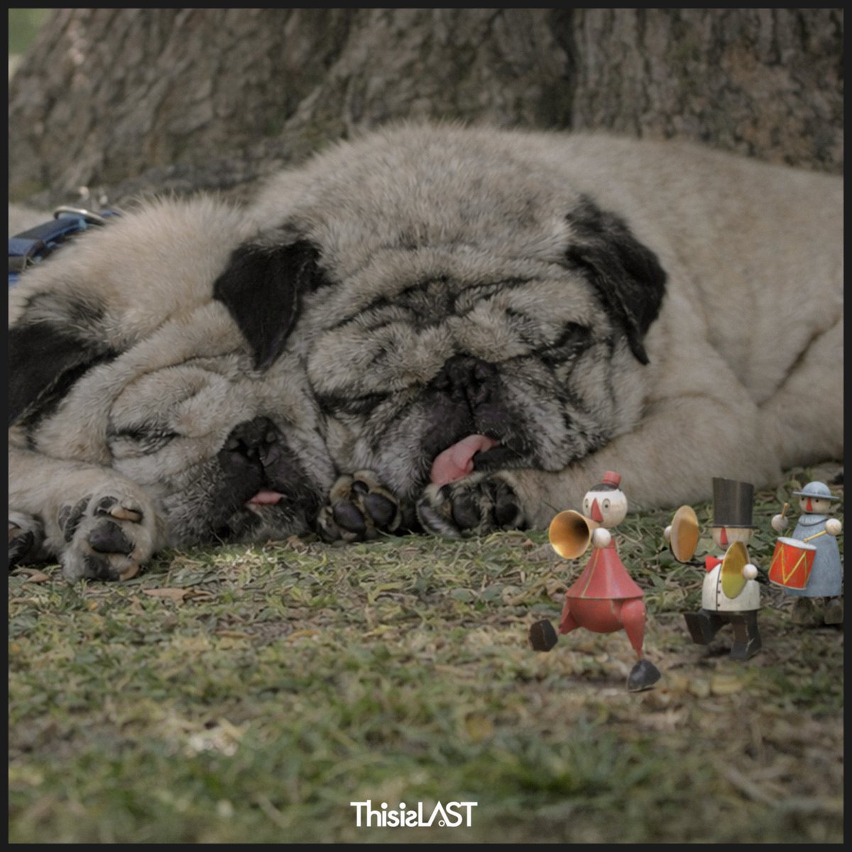 This is LAST tweet media