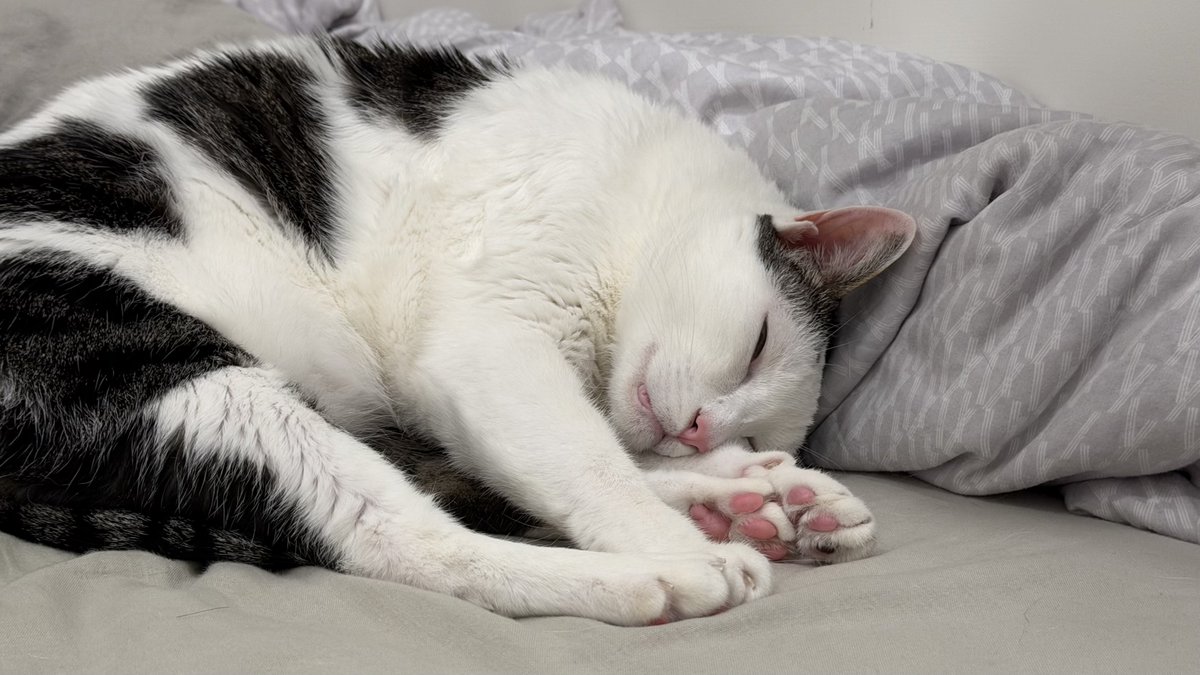 小俊這樣 tweet media