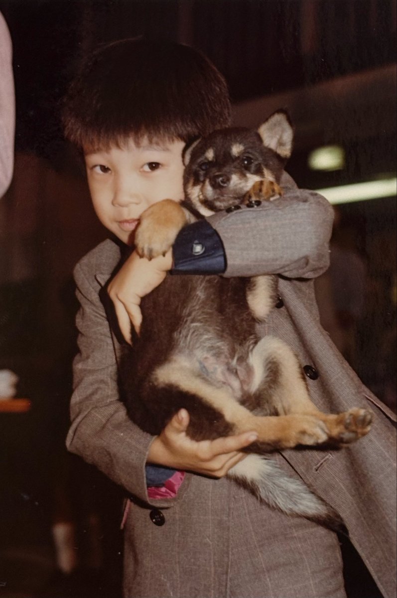 笹沼晃 tweet media