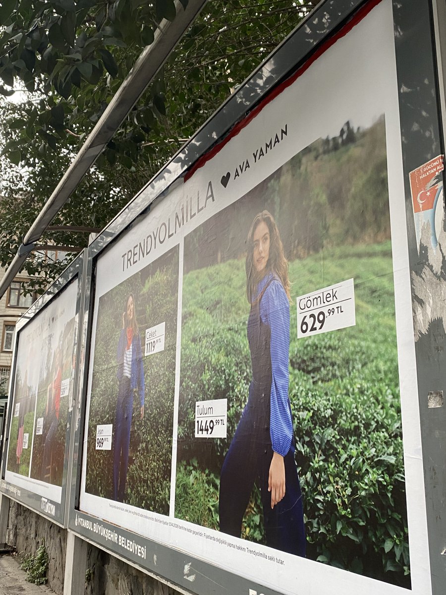 𝙨𝙖𝙣𝙚𝙢 #OR3 tweet media