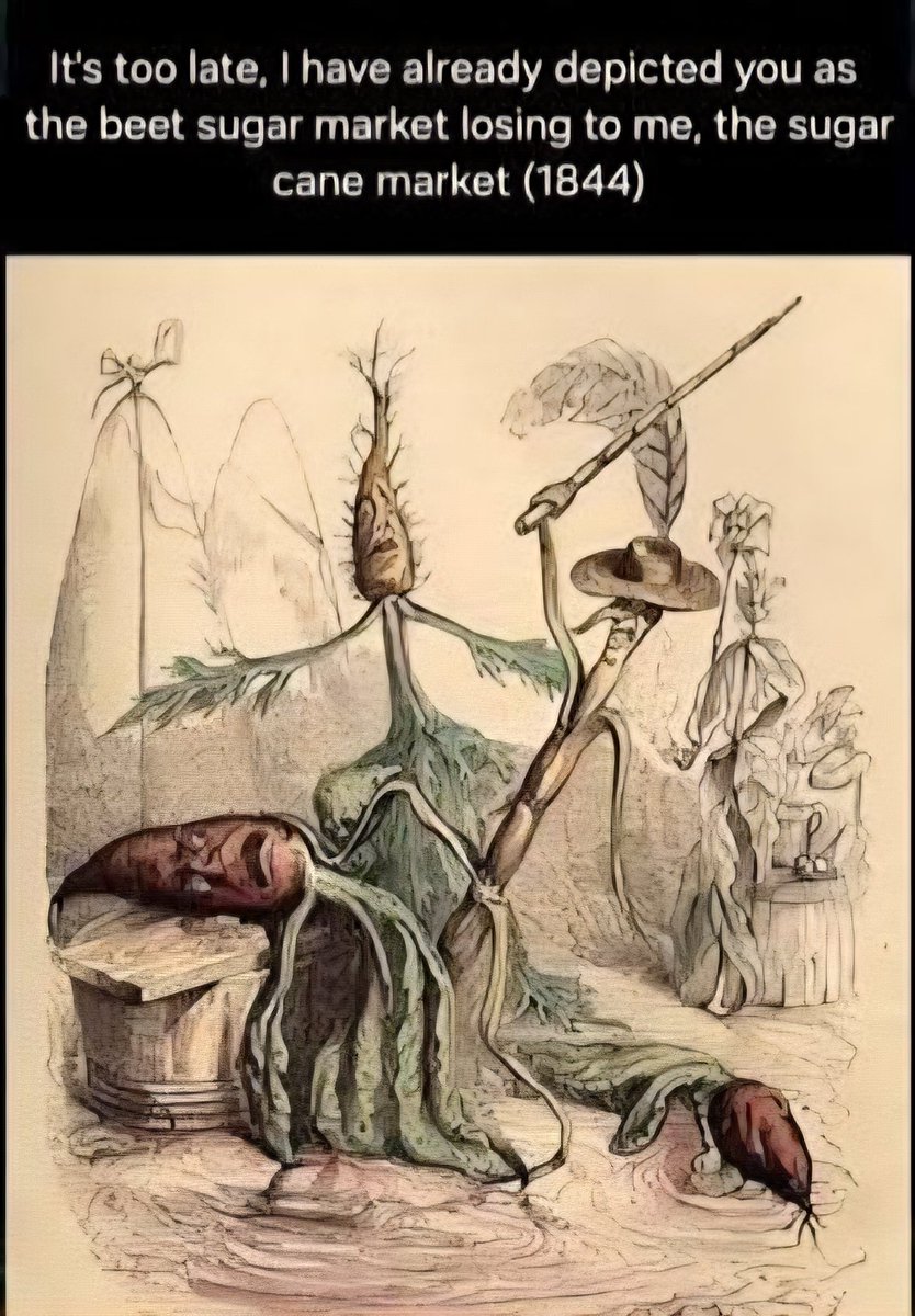 LeastCreativeNPC tweet media