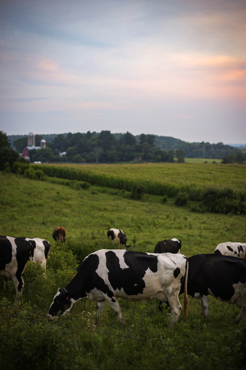 Brittany Olson tweet media