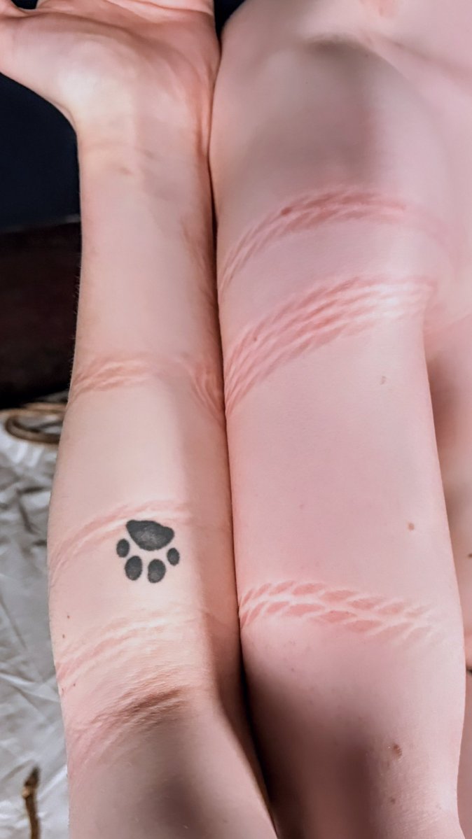 ⛓️Cryptix Hound⛓️ 🔜FWA, Megaplex tweet media