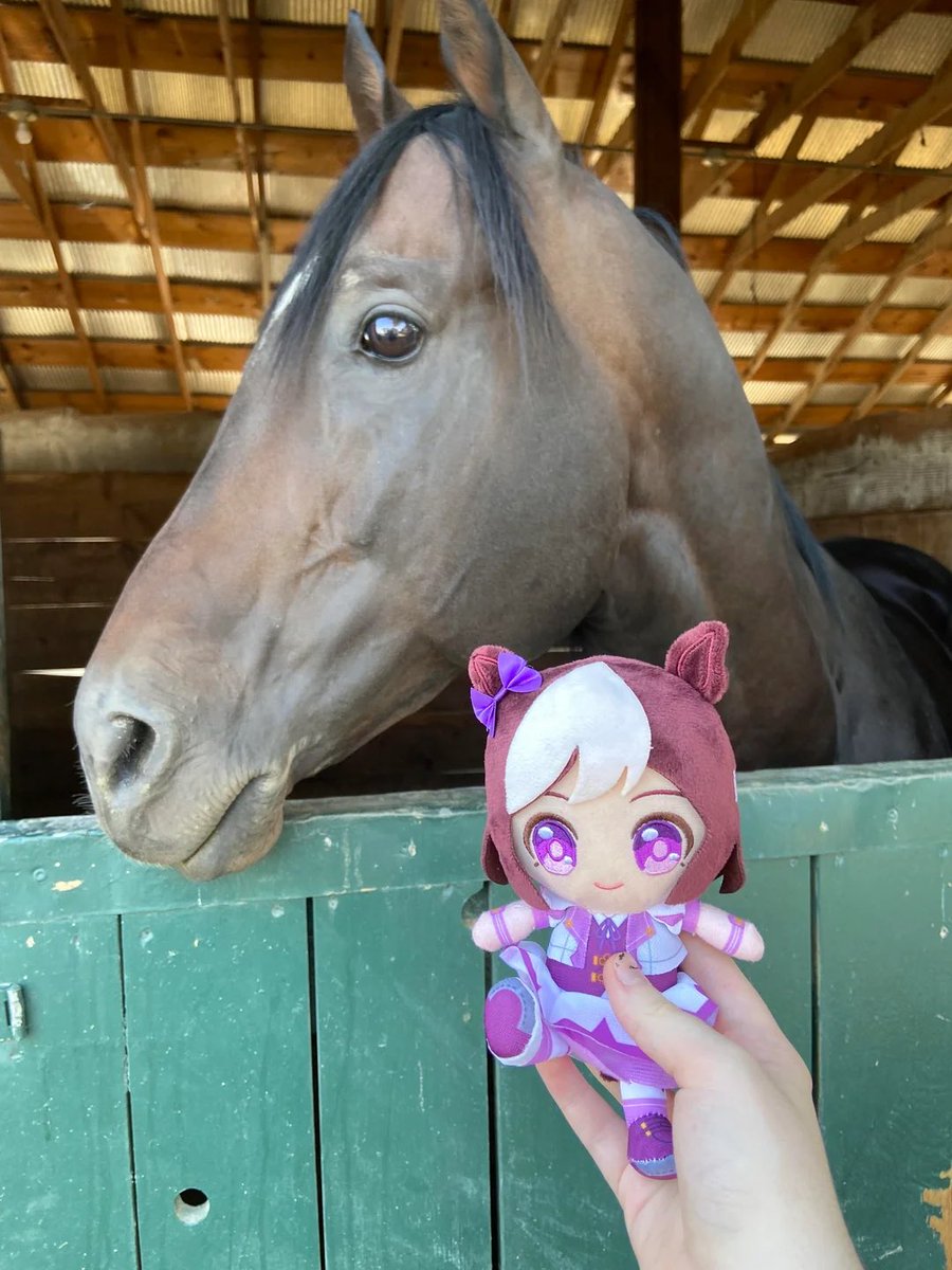 maxi 308 tweet media