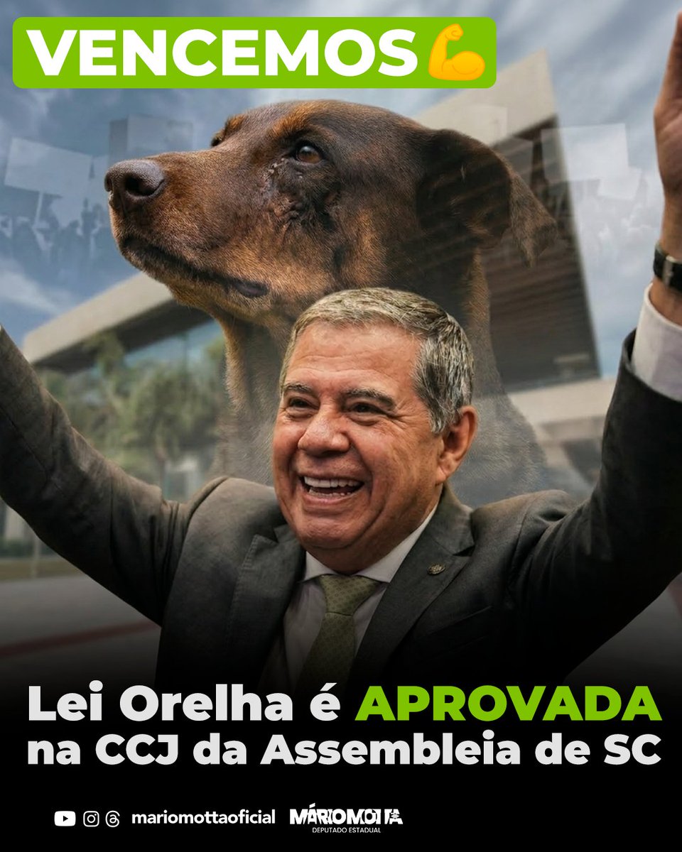 Mário Motta tweet media