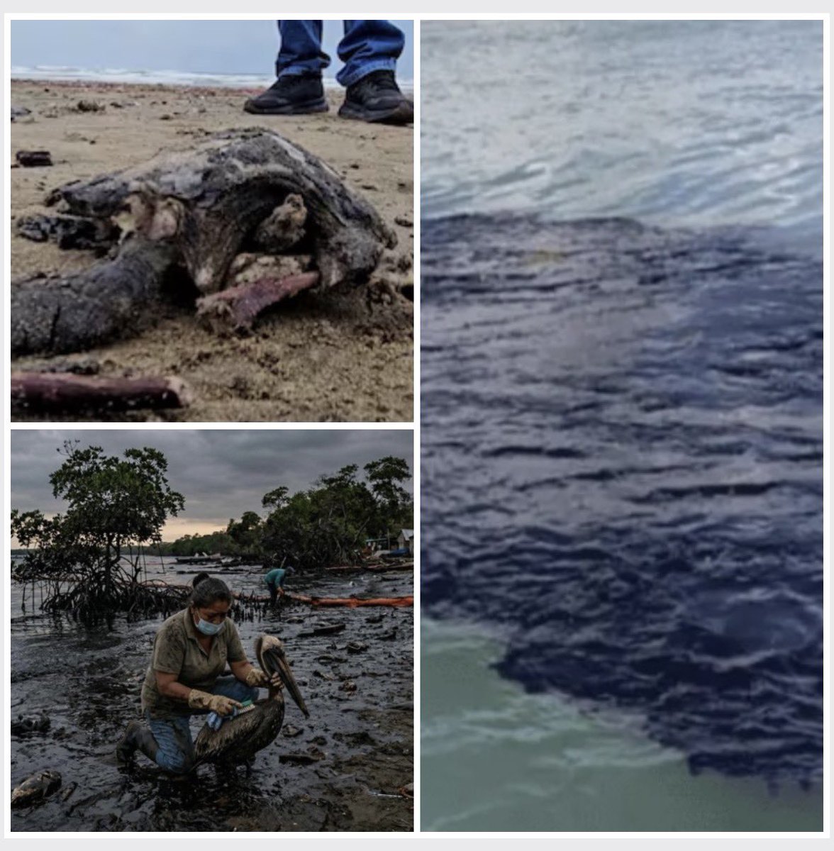 Enrique Galván Ochoa tweet media