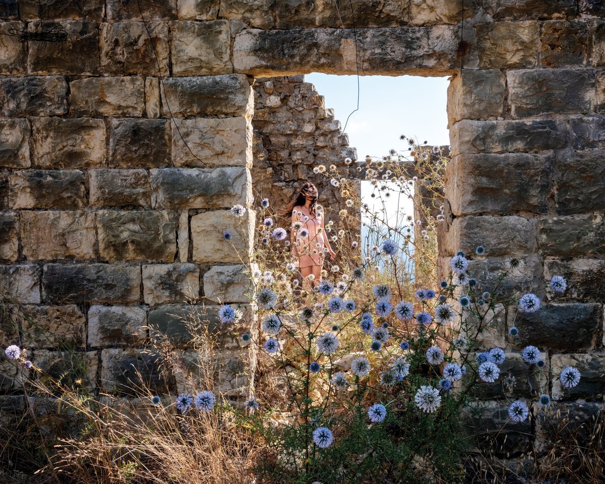 Miss Rosen tweet media