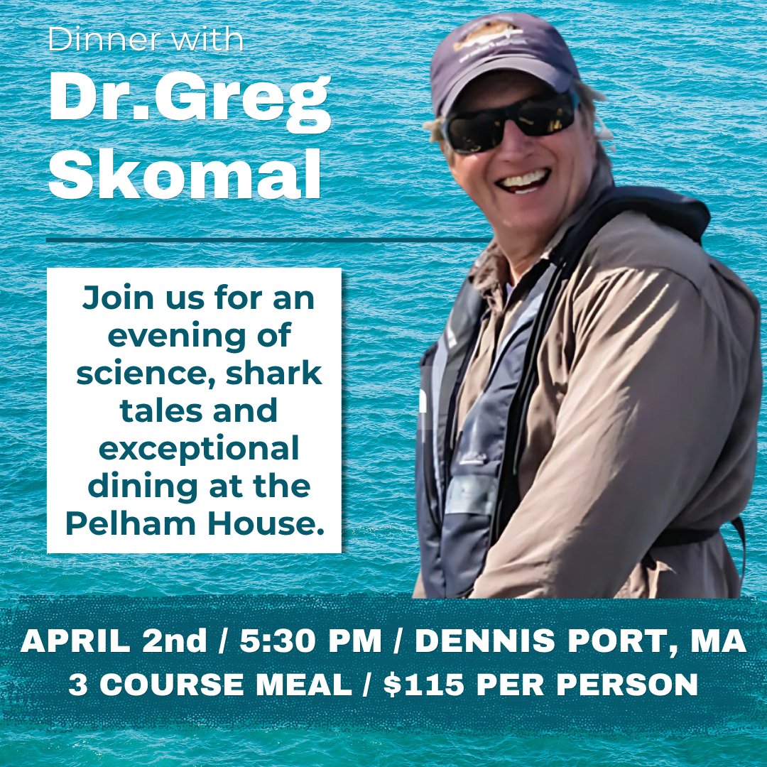 Atlantic White Shark Conservancy tweet media