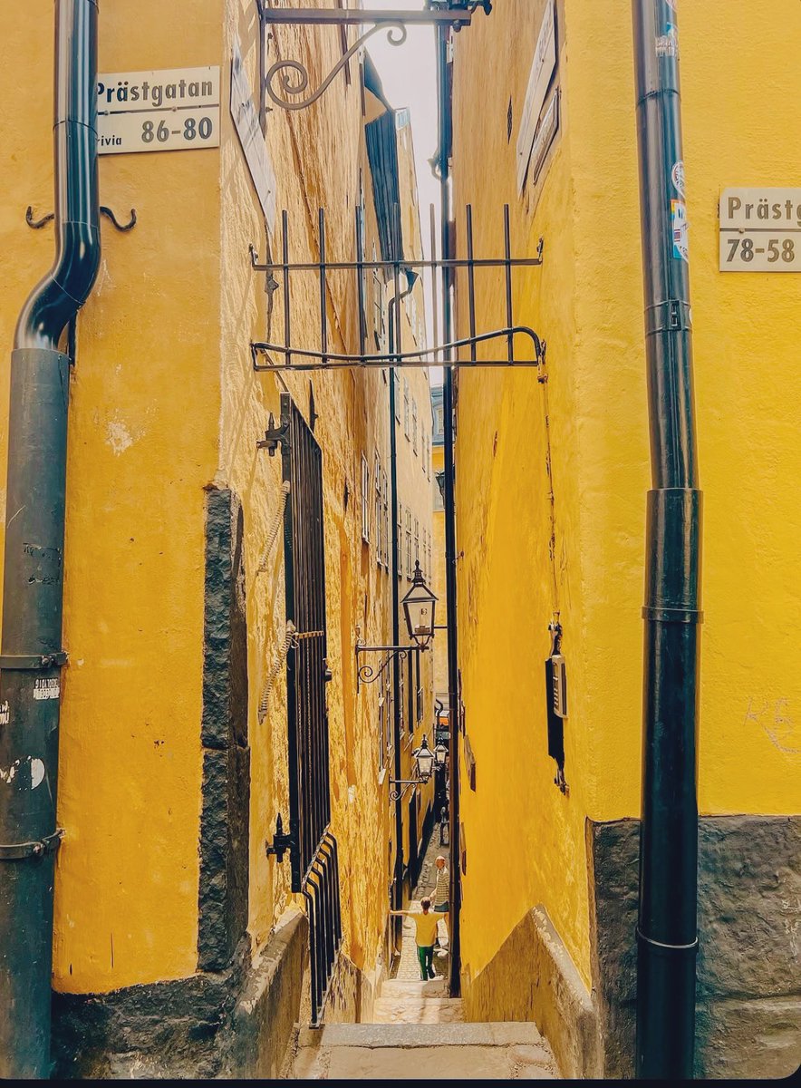 Zerê Botansdotter 🌼 tweet media