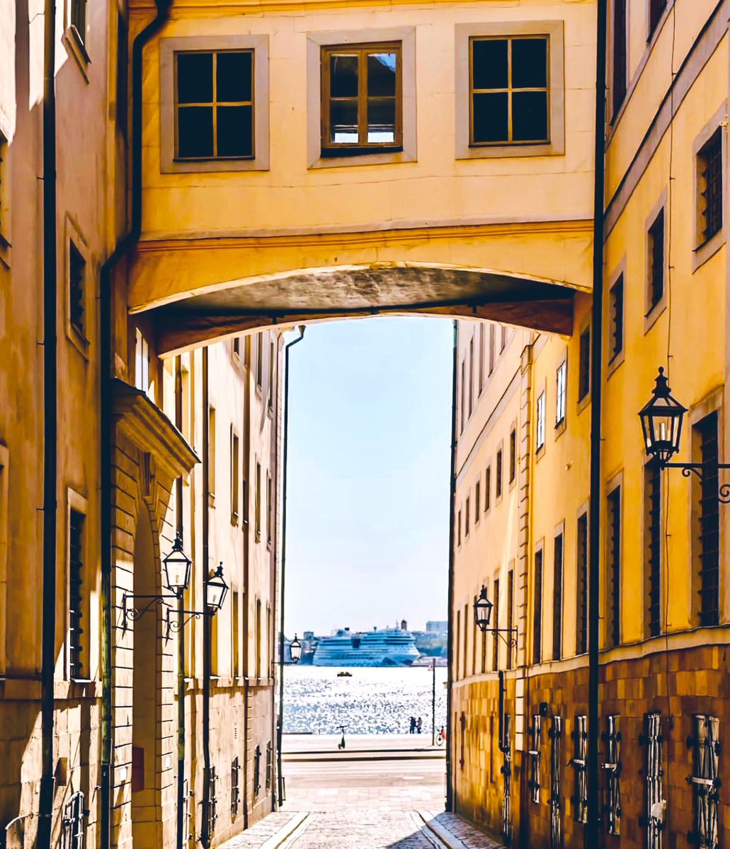 Zerê Botansdotter 🌼 tweet media