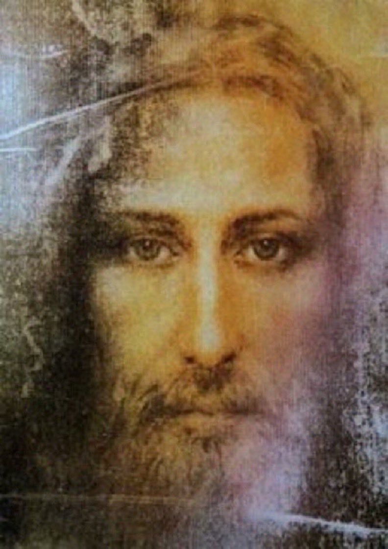 truthcampaign.org tweet media