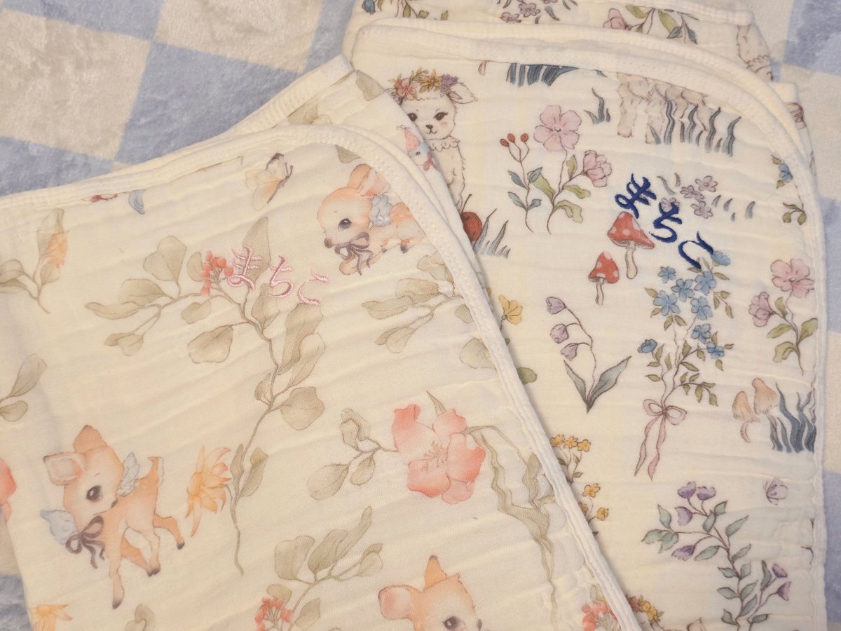 Machico Official tweet media