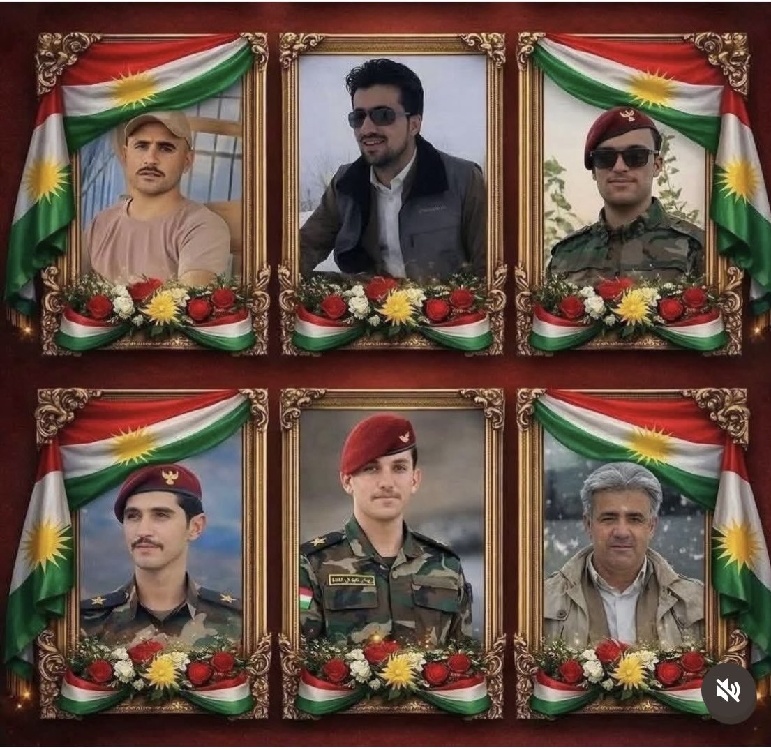 Dylan Saidi دیلان سەعیدی tweet media