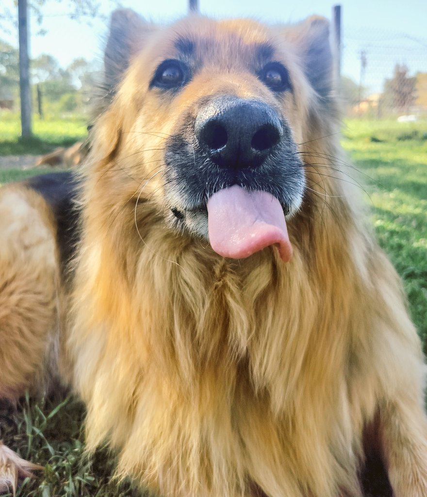 bonnie blue ♀ tweet media