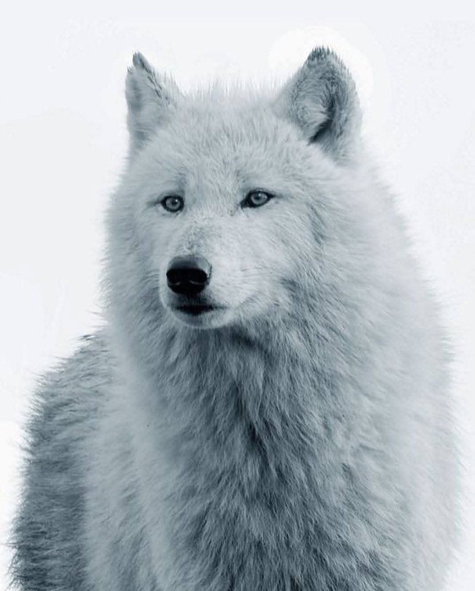 Am i 𝗯𝗲𝗮𝘂𝘁𝗶𝗳𝘂𝗹 𝘀𝗮𝘆 𝗬𝗲𝘀 𝗼𝗿 𝗡𝗼.🖤