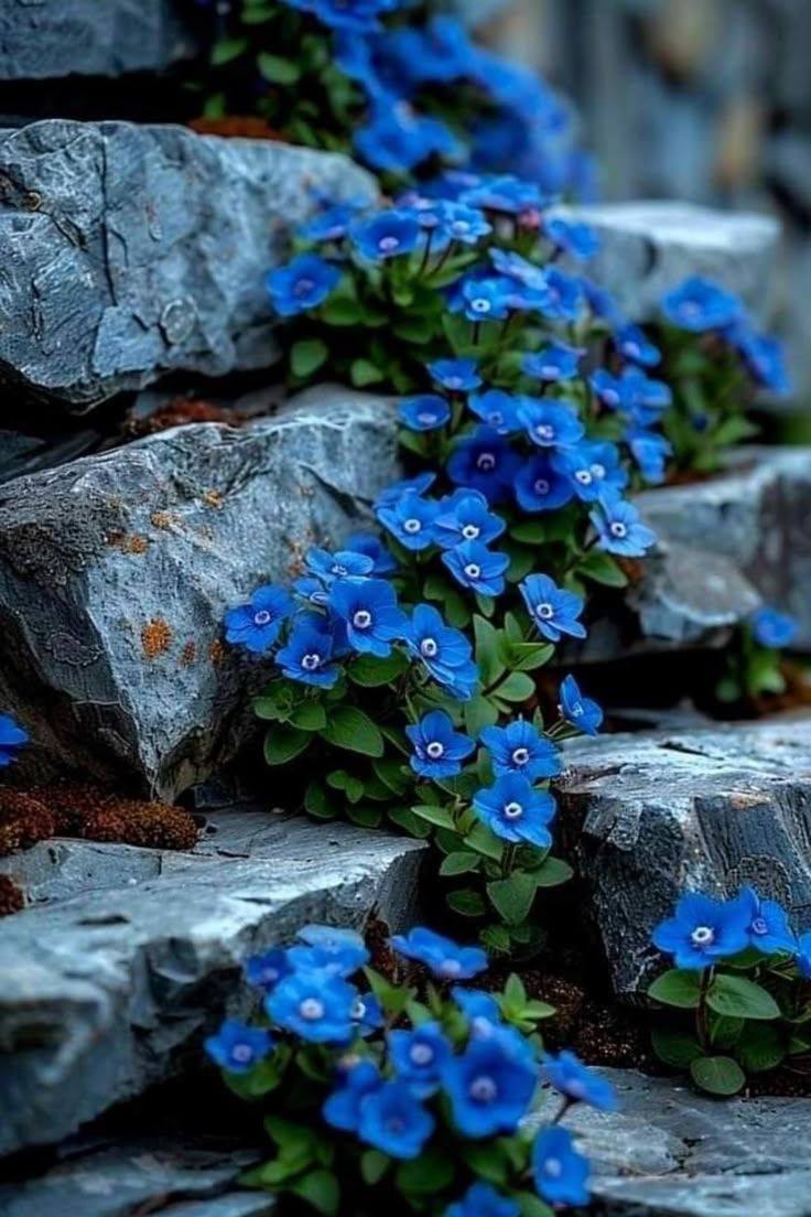 Sevil.Grm tweet media