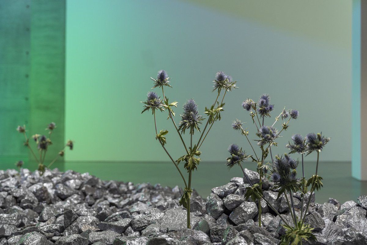 Right Click Save tweet media