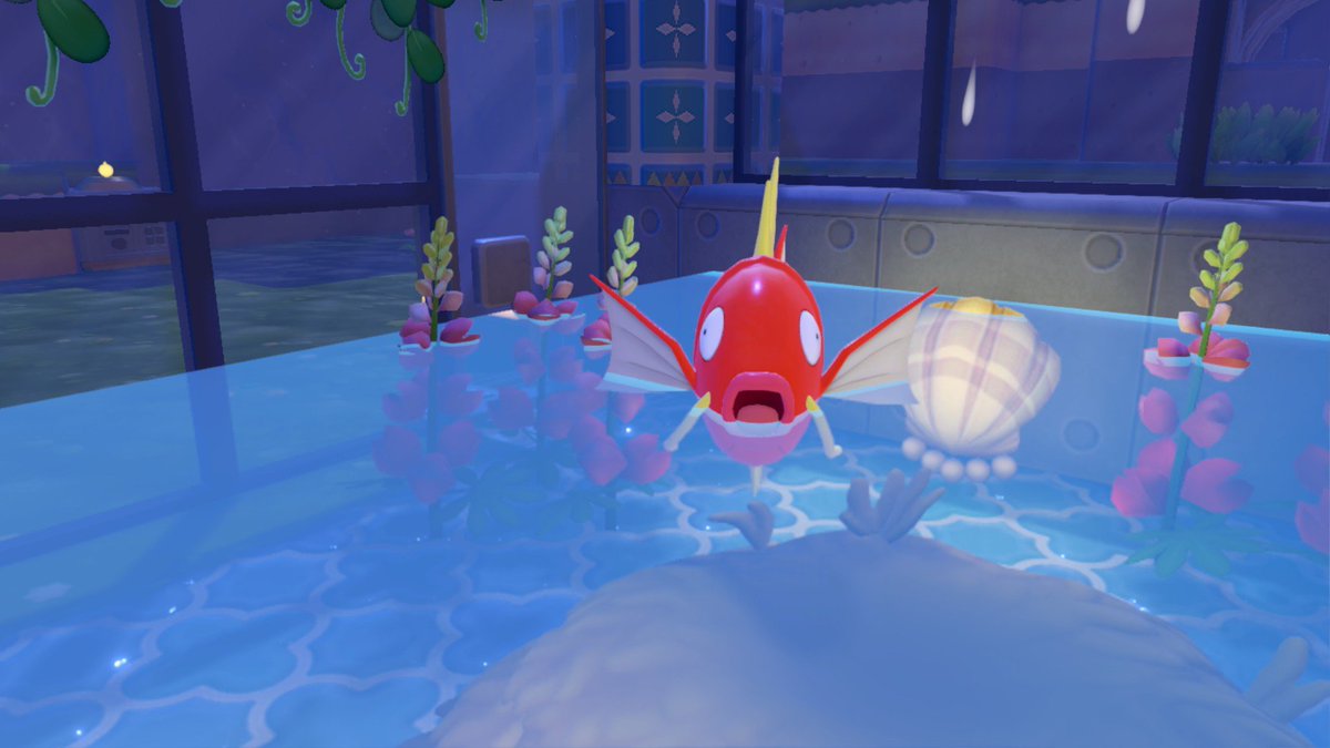 catpow3r tweet media