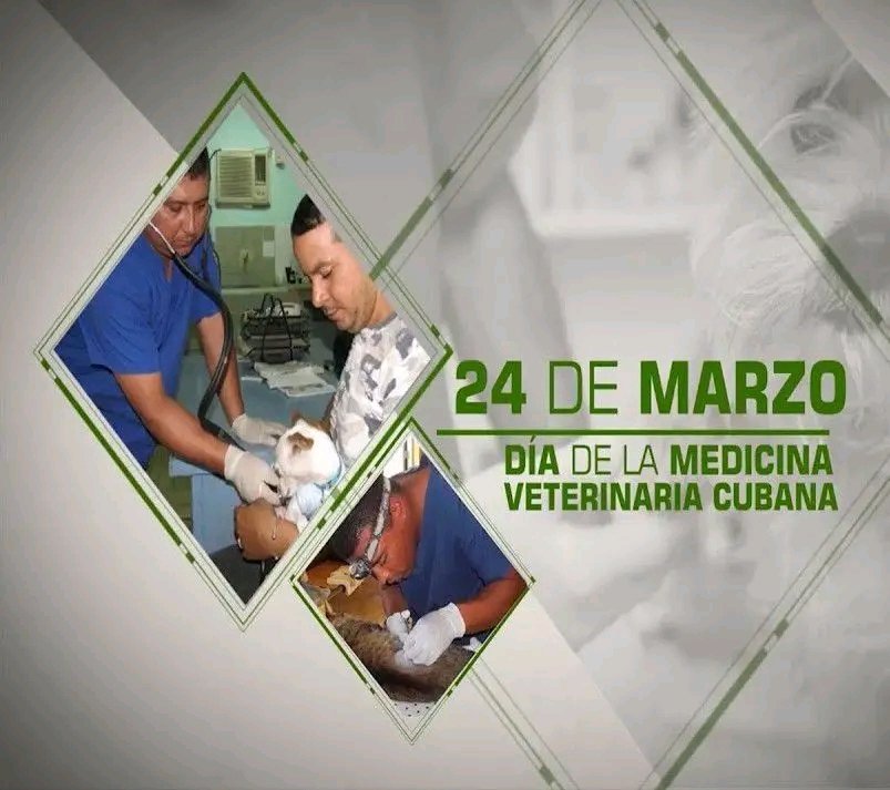 katia_mato's tweet photo. En nombre de las Salas de Televisión del municipio Maisi hacemos llegar nuestras felicitaciones a todos los médicos veterinarios, Feliz día https://t.co/b7oBHxErF8