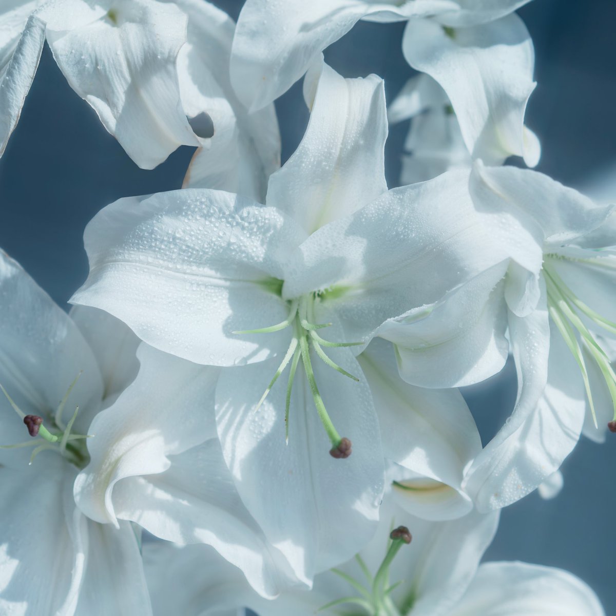 もゆら tweet media