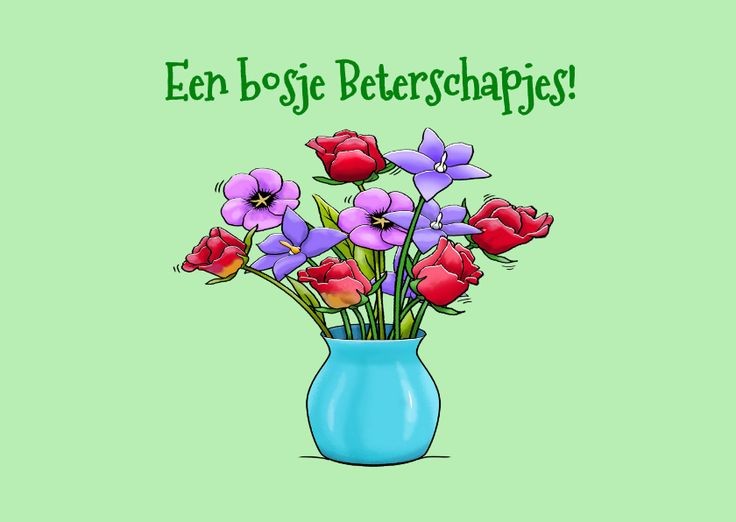 Sandra👩▪︎😺Ozzy 😺Zara 😺Woody tweet media