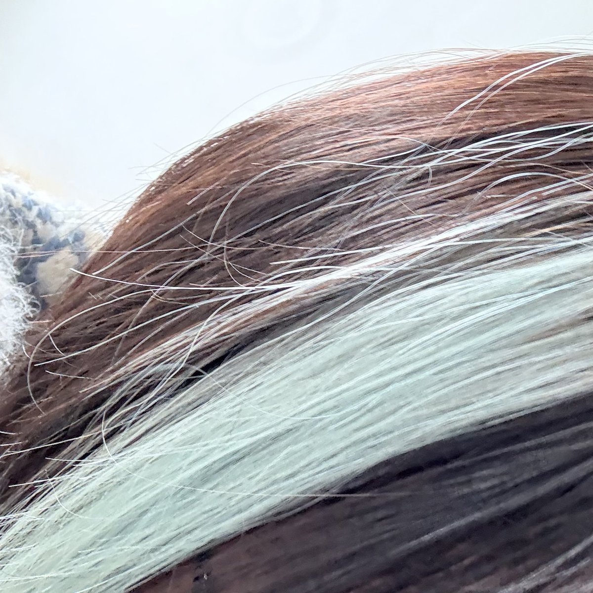 ^－_－^ tweet media