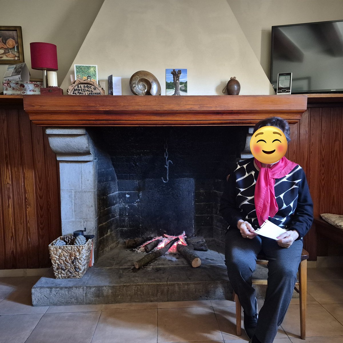 La Caçadora de Masies tweet media