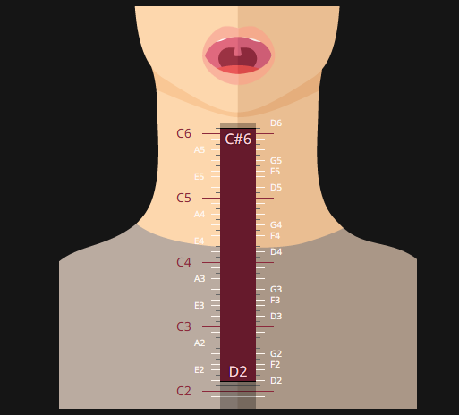 Lucien Lunaris 🎸🌙 FIRST STAGE PRODUCTION EN tweet media