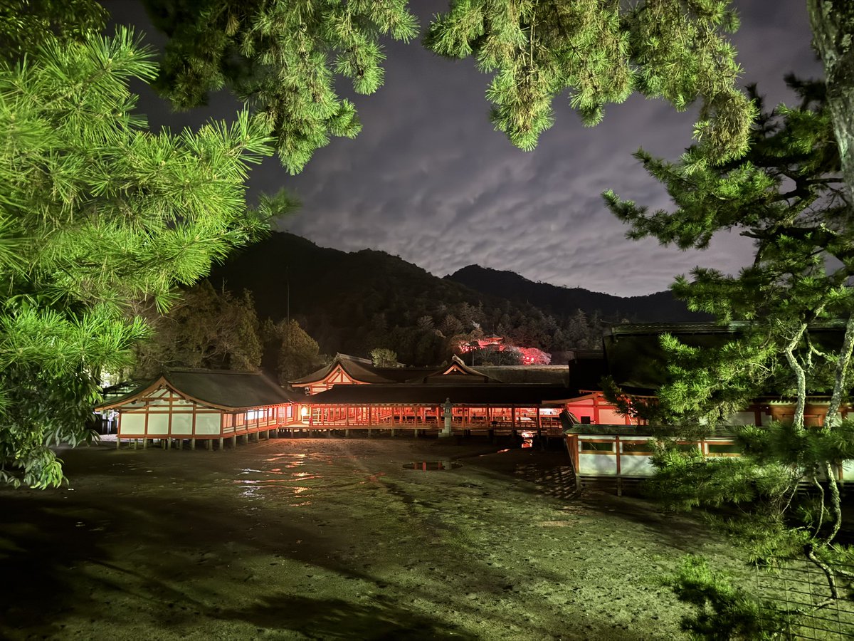 グリコ tweet media