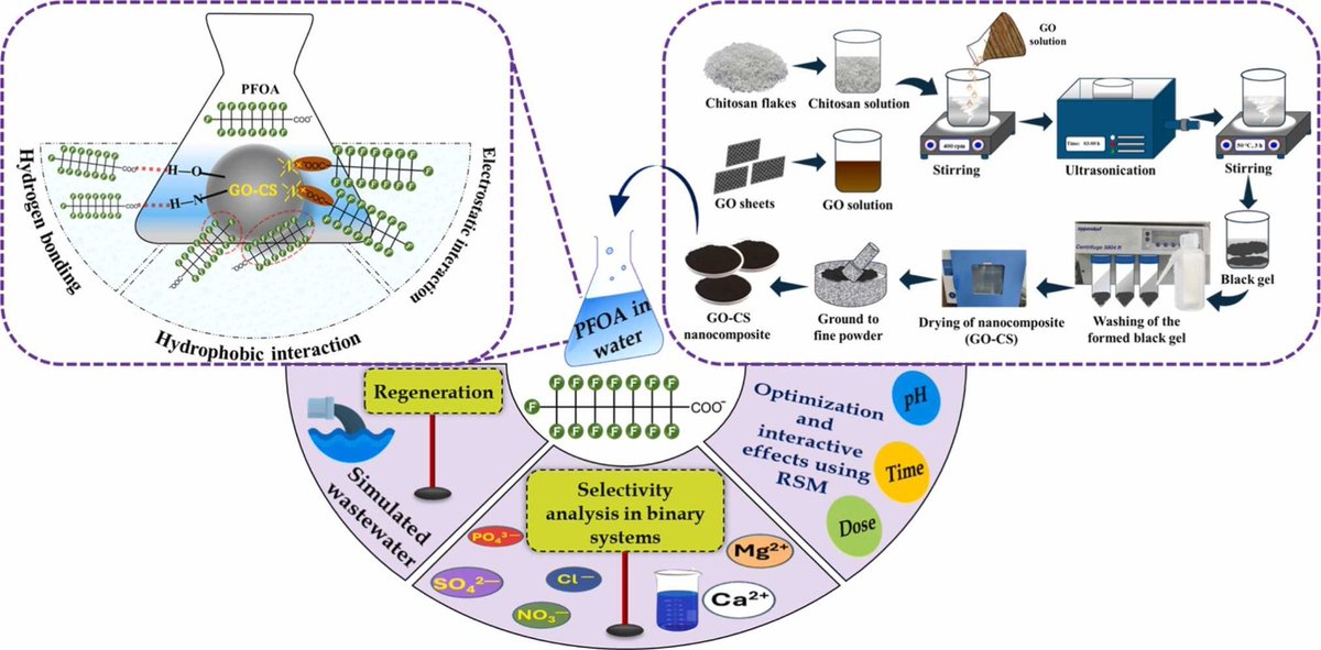 er_subu's tweet photo. 𝐏𝐀𝐏𝐄𝐑 𝐀𝐋𝐄𝐑𝐓! New study in @PSEPJournal shows green GO–CS adsorbent achieves efficient PFOA removal (91%) from water with high adsorption capacity (640 mg/g). ♻️💧Kudos, @ByomkeshMahanty, Vani &amp; Dr. Hussain! 50 days free access: https://t.co/UZGrXupL7n

@ElsevierConnect https://t.co/lDOGkjngZS