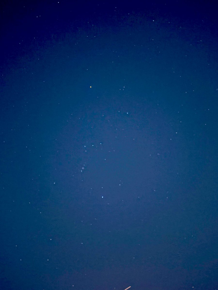 はち☺︎🐝⋆︎*ﾟ∗ tweet media